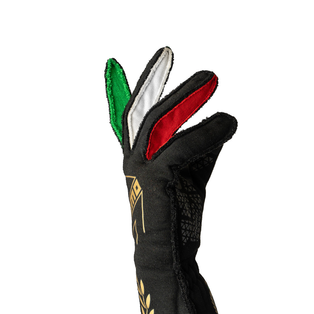 MOMO Corsa Pro Anniversario Racing Gloves - FIA Approved